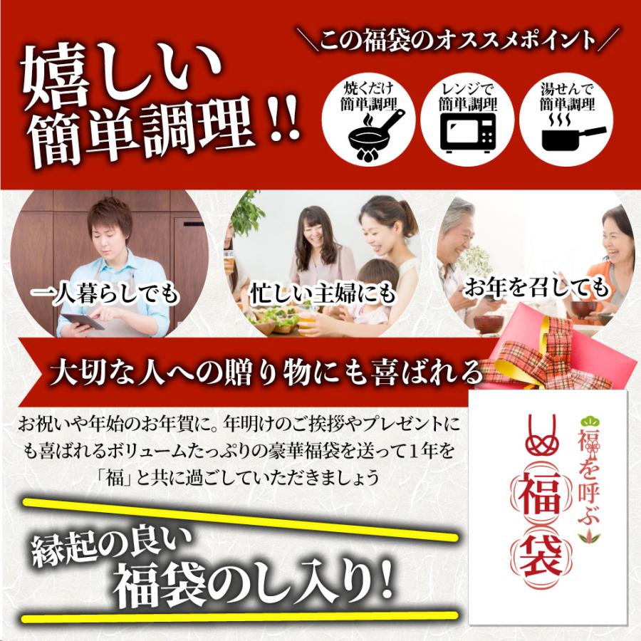 肉 福袋 肉の福袋 「梅福袋」牛肉 食品 メガ盛り 総重量2.5kg超 焼くだけ＆レンジで簡単調理！ランキング1位＆人気のお肉豪華セット