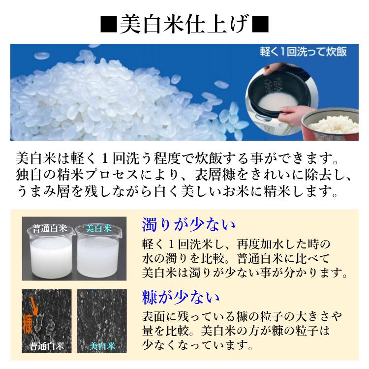 お米 コシヒカリ 精白米 5kg 会津産 送料無料 令和5年産 2023年産 こしひかり 米 こめ 精米