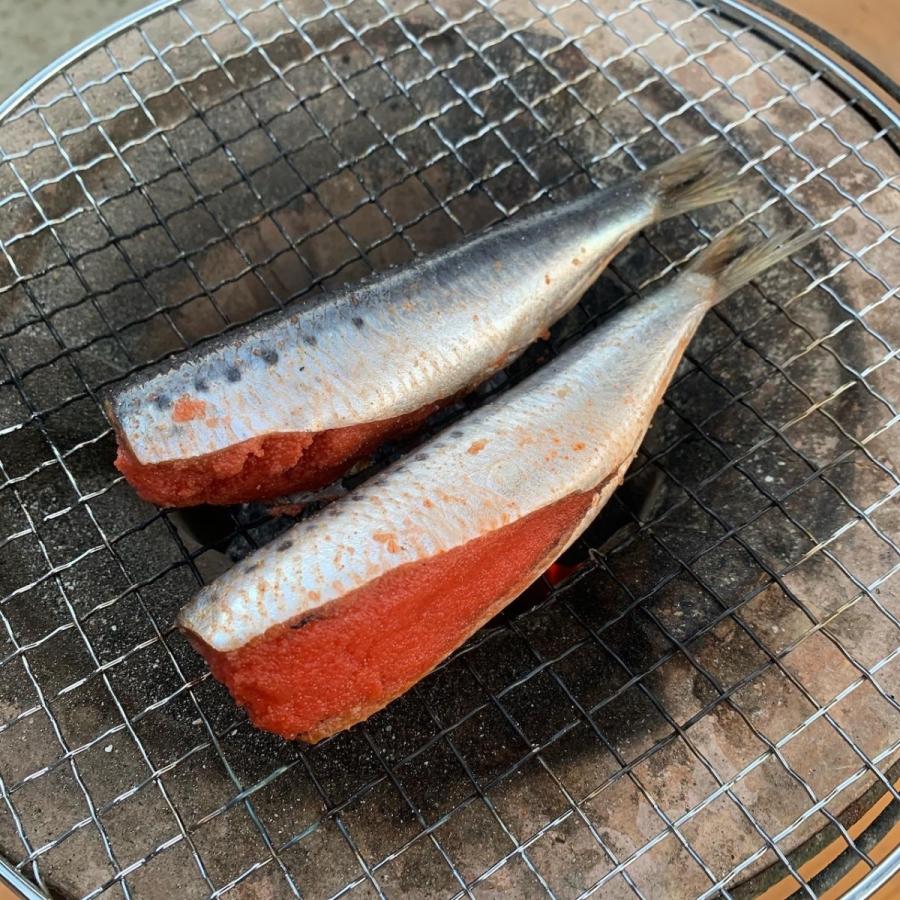 国産 福岡で手作り いわし明太子 15尾 業務用 お正月 おせち BBQ 魚介類  いわし イワシ明太子 鰯明太 イワシ おつまみ 焼き魚  魚 ギフト 高級 明太子 お歳暮