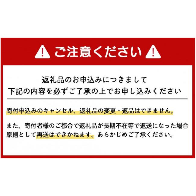 ふるさと納税 北海道 千歳市 日清ヌードル3種セット 各1箱（20食）合計3箱