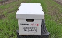 北海道 富良野市 ふらの赤肉 メロン 2kg×3玉 (中島農園)