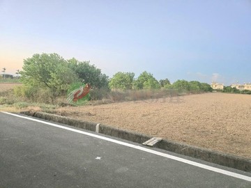 觀音向陽農場旁農地419｜桃園市觀音區藍埔段