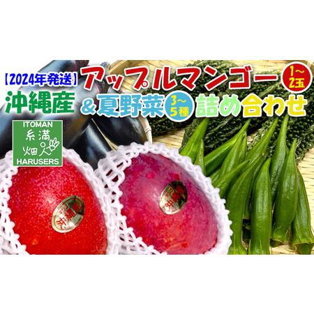 ふるさと納税 沖縄産　アップルマンゴー(1〜2玉)＆夏野菜(3〜5種)の詰め合わせ 沖縄県糸満市