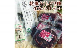 乾燥きくらげ50g×1袋 乾燥きくらげ10gスライス×1袋 生100g×6p