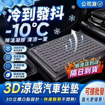 接急單❗❗ 隔日達 冰絲涼感坐墊 汽車座墊 冰涼透氣不出汗 凝膠坐墊 涼感坐墊  立體防滑汽車坐墊 透氣坐墊 車用坐墊