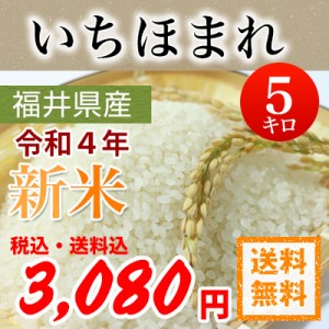 令和4年産 福井県産 いちほまれ 特別栽培米  白米5kg  