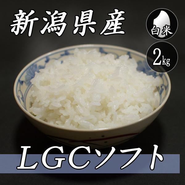 お米 2kg 新潟産 LGCソフト 2kg×1袋 令和5年産 米 白米