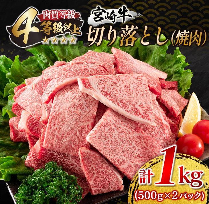 DB17-23 宮崎牛切り落とし(焼肉)計1kg　肉　牛　牛肉　国産