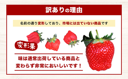 ＜訳あり・大粒＞小豆島産　変形果いちご　1.4kg