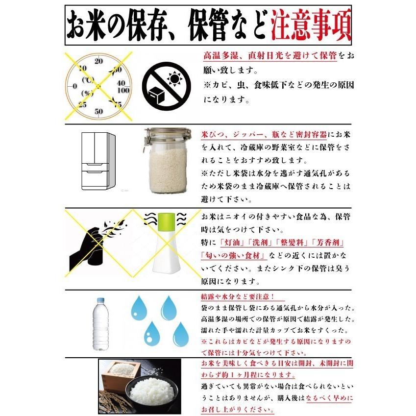 お米 米 10kg 白米 熊本県産 くまさんの輝き あすつく 新米 令和5年産 5kg2個 くまモン くまもとのお米 富田商店 とみた商店