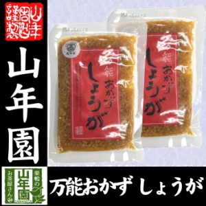 万能おかず生姜 130g×2袋セット 高知県産のしょうがしょうゆ漬（刻み）高知家 焼き魚の付け合わせ 豆腐の薬味 お好み焼きの具材