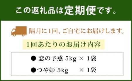 036-806 大分県 豊後大野市産 つや姫 ジオ蔵出し色選米 特別栽培米 10kg (5kg×2袋) 米 精米