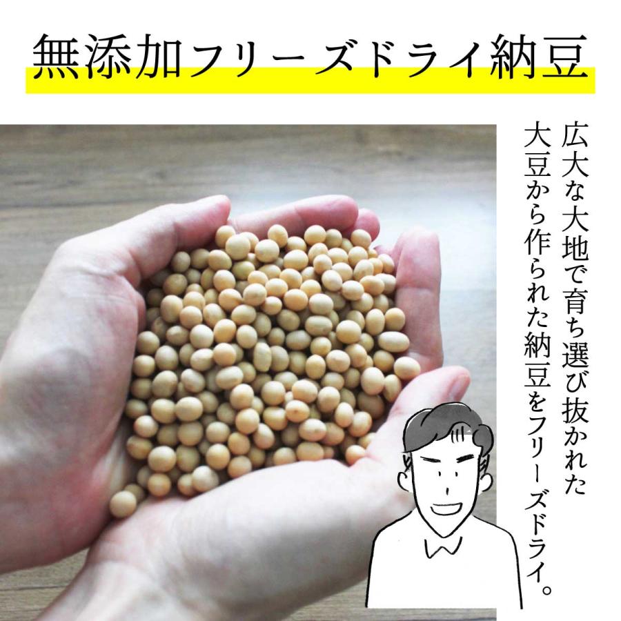 おだしと納豆100ｇドライ納豆 納豆汁 ひきわり納豆 京のおだし