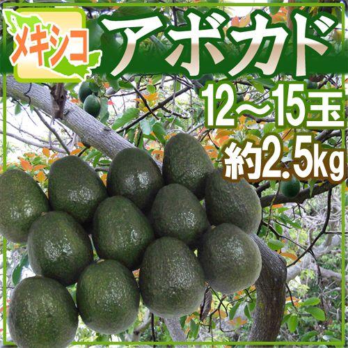 メキシコ産 ”アボカド” 12〜15玉 約2.5kg 送料無料