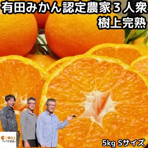 みかん 有田 小玉 甘い 糖度 送料無料 和歌山 fromありだ 樹上完熟 早生 有田みかん 5kg s サイズ お歳暮 贈答用 贈答品 ギフト 箱 買い