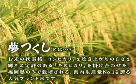 糸島産 夢つくし 5kg × 6回　糸島市   三島商店 米 お米 ご飯 白米 夢つくし ゆめつくし 九州 福岡 5キロ [AIM006]