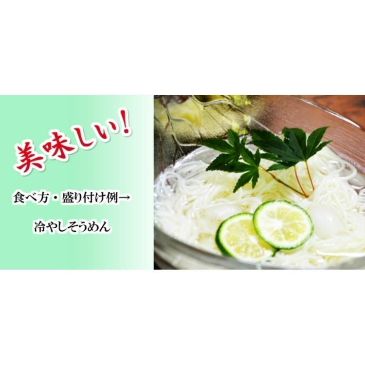 そうめん 化粧箱入り讃岐そうめん 10個セット 75人前分 7.5kg　[1箱750g 15束入り] デザインBOX オリジナル紙包装済 干しめん 機械 素麺 つゆなし