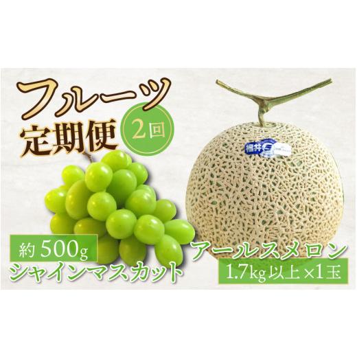 ふるさと納税 福井県 坂井市 フルーツ定期便2回(アールスメロン1玉 1.7kg以上 ＆ シャインマスカット1房) 【2024年8月中旬以…