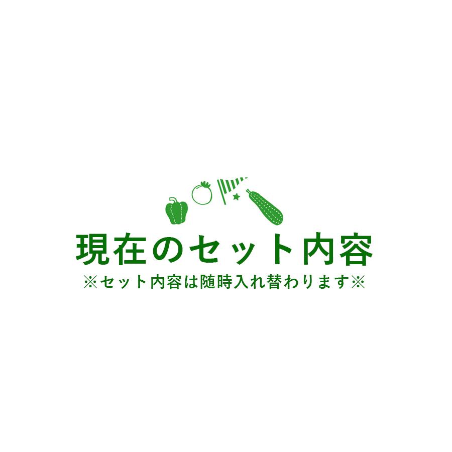 なかみがわかるデラックスセット（野菜・果物）　全15品　Ｎ17