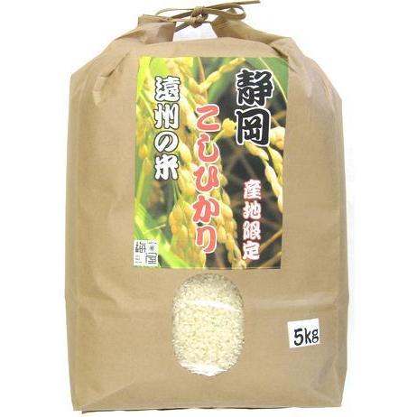 令和５年産 静岡県産 遠州のこしひかり (精米) 5kg×２袋