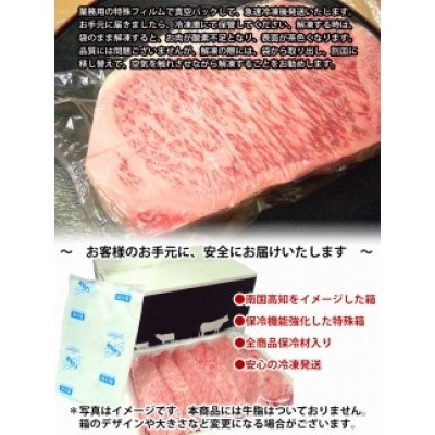 肉 牛 塊肉土佐 和牛 A5 特選 サーロイン ブロック 約1kg〈高知市共通返礼品〉お歳暮 御歳暮