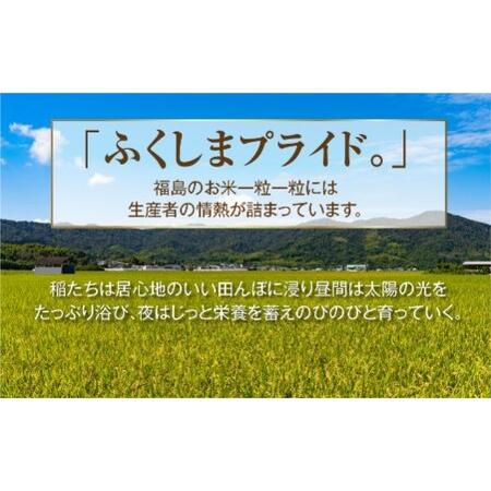 ふるさと納税  田村産 コシヒカリ 20kg (5kg×4袋) ギフト 贅沢 のし対応 １週間以内発送 福島 ふくしま 田村 贈答 美.. 福島県田村市