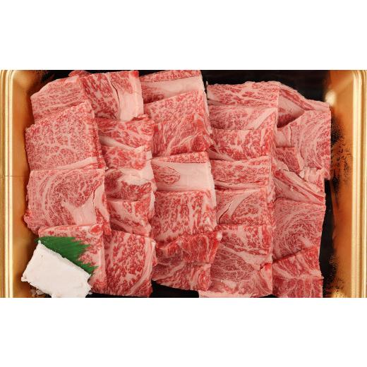 ふるさと納税 岐阜県 下呂市 飛騨牛リブロース  500g（焼肉用）国産 牛肉 ブランド牛 おすすめ 高級 やきにく 焼き肉 焼肉 牛 肉 肉ギフト 贈答