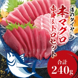 本マグロ（養殖）トロ＆赤身セット 240g 高級 クロマグロ 中トロ 中とろ まぐろ マグロ 鮪 刺身 赤身 柵 じゃばらまぐろ 本マグロ 本鮪