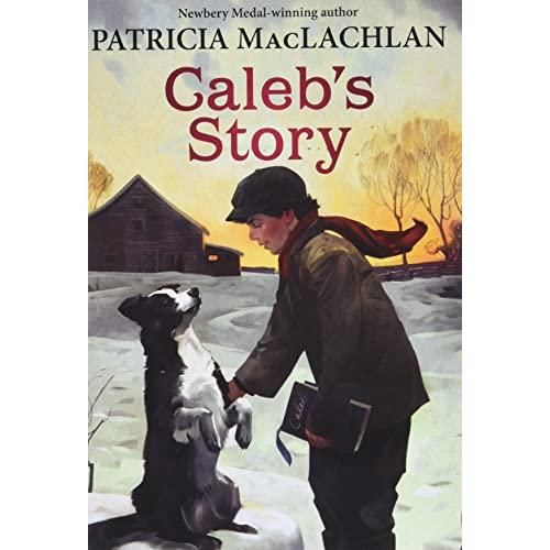 Caleb's Story (Paperback)