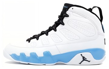 JORDAN 9 RETRO POWDER 2010