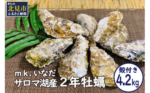 サロマ湖産殻付き2年牡蠣4.2kg※牡蠣ナイフ付 カキ かき 4.2キロ 魚介 海鮮 貝 ふるさと納税 BBQ バーベキュー