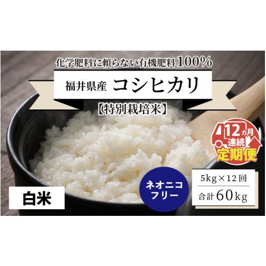 ふるさと納税 福井県 坂井市 福井県産 コシヒカリ 5kg 〜化学肥料にたよらない有機肥料100%〜 ネオニコ…