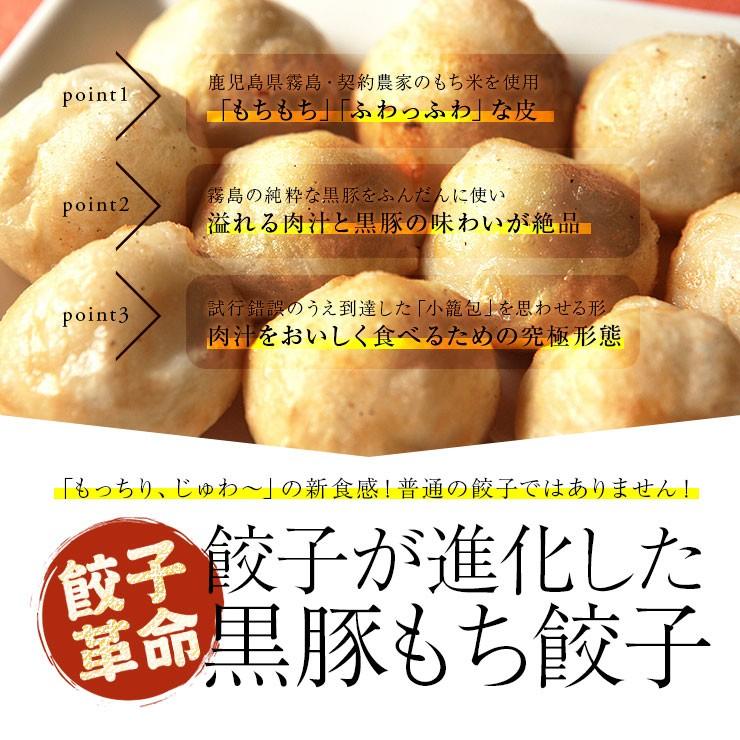 冷凍食品 送料無料 おもちのぎょうざ 黒豚もち餃子 20g×120個  冷凍 業務用 宮崎県 お取り寄せ 送料無料 人気には訳あり 食品 グルメ ギフト