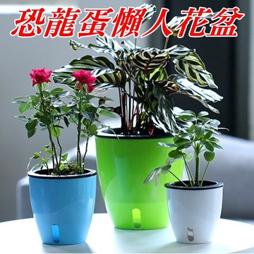 【珍愛頌】N133 可視水位 懶人花盆 自動吸水 多肉花盆 室內花盆 懶人盆 培養盆 吸水花盆 水培盆栽 辦公室花盆