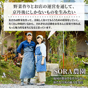 SORA農園 有機野菜セット（12種前後）冬季　＜京野菜・西洋野菜などオーガニック野菜セット＞