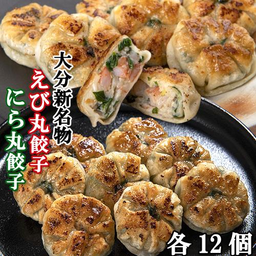 にら丸ぎょうざエビにら丸ぎょうざ 各30g×12個入り 2種セット 大分にら丸ぎょうざ工房 送料無料