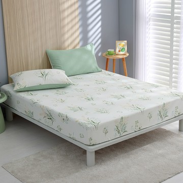 單人床包枕套組/ 100%精梳純棉 / 純棉 / 阿芙亞 [鴻宇] 台灣製 - C20131