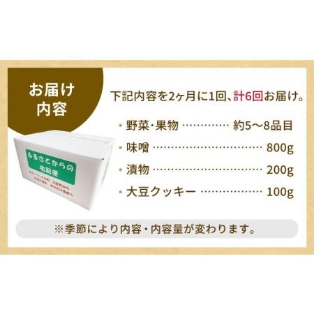 ふるさと納税 新鮮野菜・加工品 おまかせ詰め合わせ野菜 フルーツ 漬物[HAG017] 佐賀県江北町