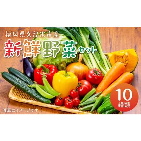 ふるさと納税 福岡県久留米市産　新鮮野菜セット_福岡県 久留米市産 新鮮野菜 セット 10品目 旬の野菜 詰め合わせ 新鮮 野菜 水菜 小松菜 ほう.. 福岡県久留米市