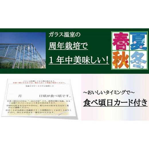 ふるさと納税 静岡県 袋井市 数量限定！クラウンメロン 山等級 ”極みメロン” 2玉詰 桐箱入 人気 厳選 ギフト 贈り物 デザート グルメ 果物 袋井市