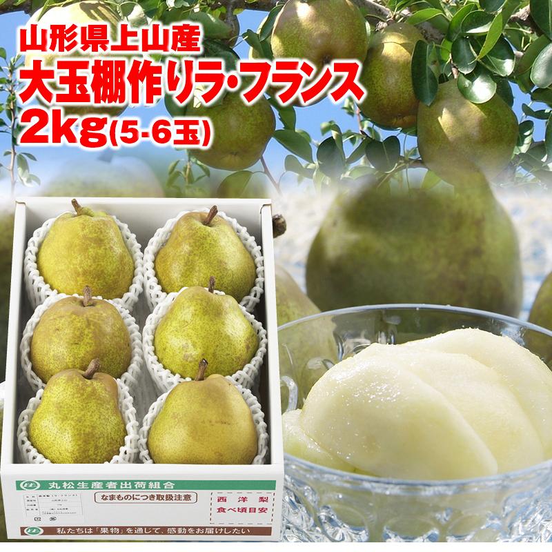 ギフト ラ・フランス 送料無料 洋梨 山形県上山産 大玉棚作り「ラ・フランス」 約2kg 4-5L（5-6玉）