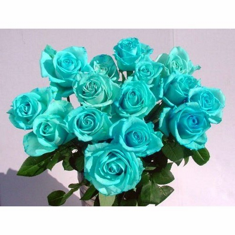 アイスブルー 青いバラ 青バラ 生花 誕生日の花 価格 通販 プレゼント １本から買えます 通販 Lineポイント最大0 5 Get Lineショッピング
