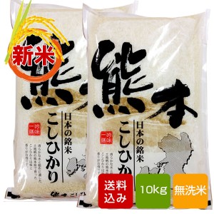 熊本コシヒカリ 無洗米10kg 熊本県産 令和4年産