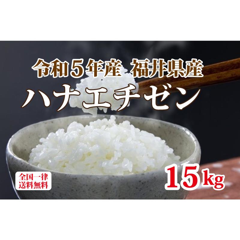 令和５年産 福井県産ハナエチゼン 15kg 白米 安い 5kg×3 ブランド米 単一原料米 送料無料