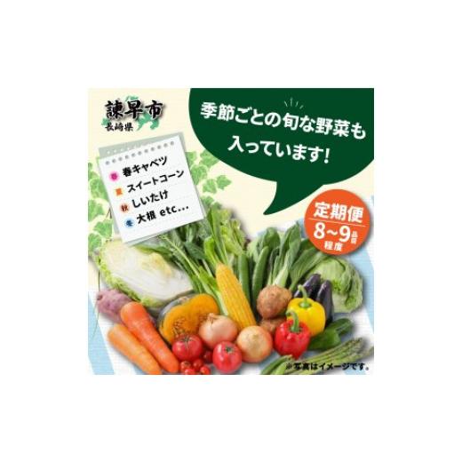 ふるさと納税 長崎県 諫早市 『定期便』_諫早産野菜の詰め合わせ(8〜9品目程度)_全6回