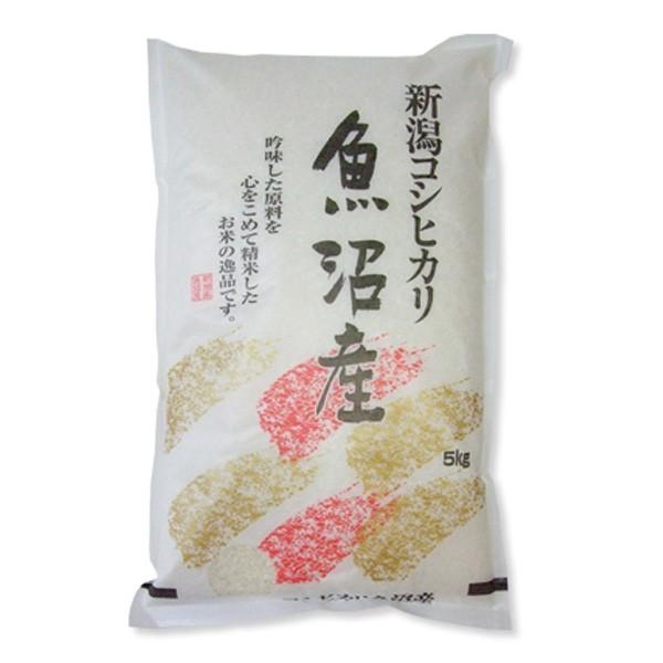 お米 5kg 魚沼産 コシヒカリ 5kg×1袋 送料無料 令和5年産 米 白米