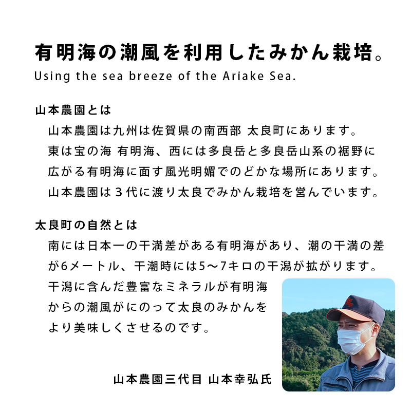 みかん 3kg 甘熟 温州 山本農園 産地直送 佐賀 国産 日本産 とれたて 新鮮 旬 甘い 酸味 香り ジューシー 有機 S〜2L