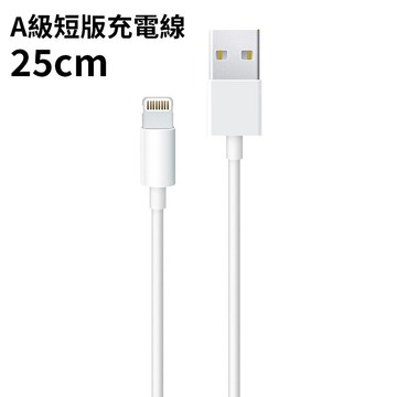 通用型 iPhone 短版充電線 傳輸線 短線 Lightning線 iPad線 蘋果線 USB傳輸線 快充線 數據線 傳輸充電線