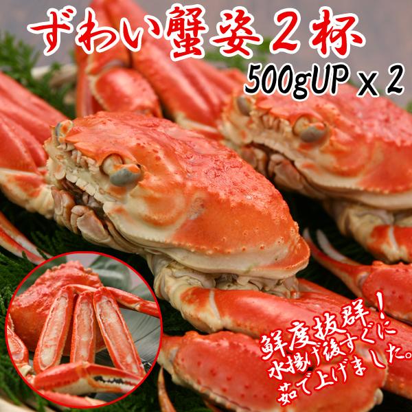 ずわい蟹姿2杯  (ずわいかに ズワイガニ 500gx2 1000g 1kg お取り寄せ ズワイ蟹 グルメ 食品 お買い得ずわい蟹 年末蟹