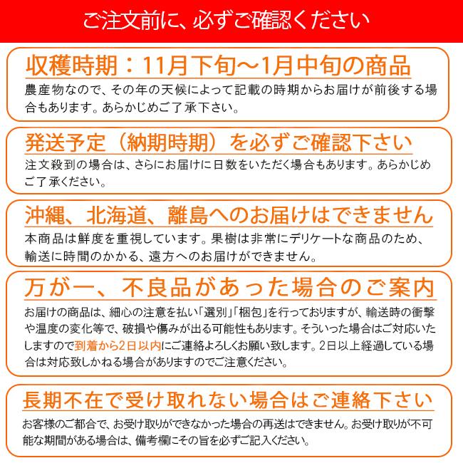 秋王 柿 6玉入 お歳暮 贈答 減農薬 福岡  農家直送 井上農園